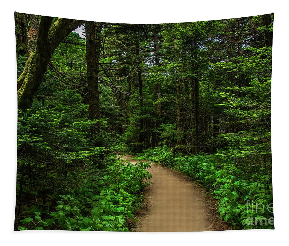 Trail Tapestry featuring the photograph Peaceful trail on Roan Mountain by Shelia Hunt