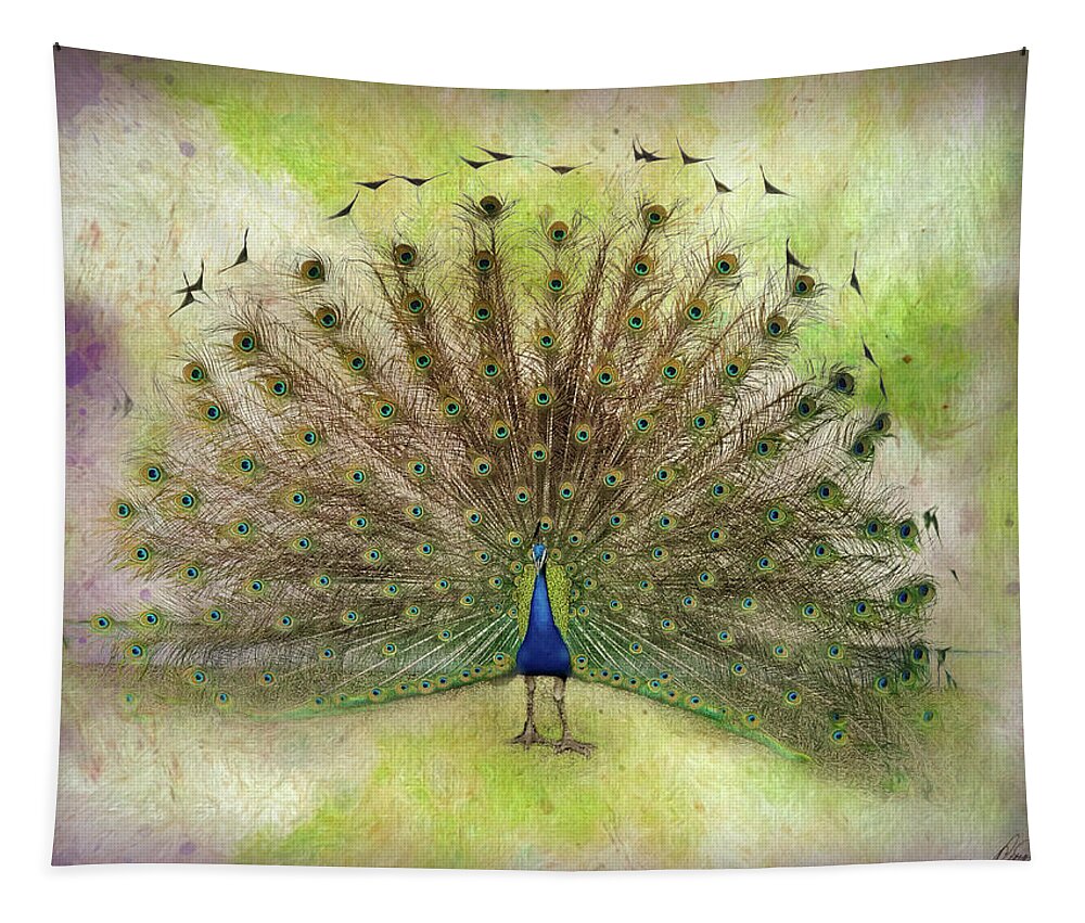 Peacock Tapestry featuring the photograph Peacock by Diana Haronis