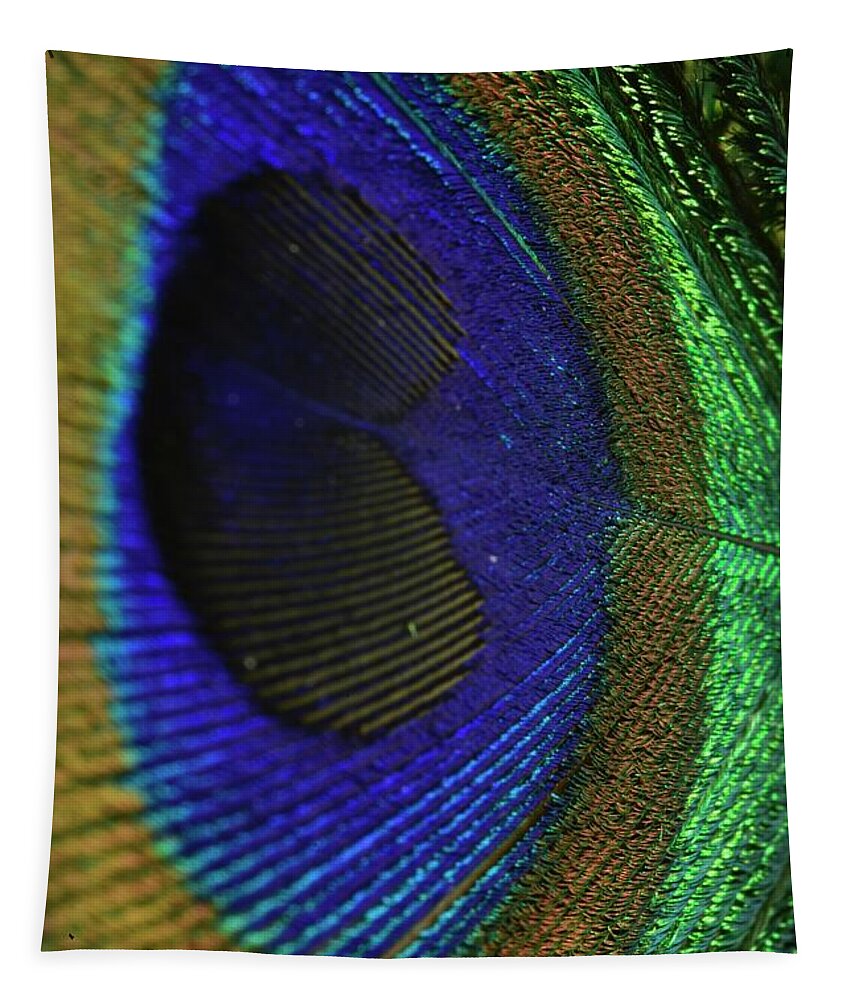Peacock Eye Tapestry featuring the photograph Peacock Eye by Neil R Finlay