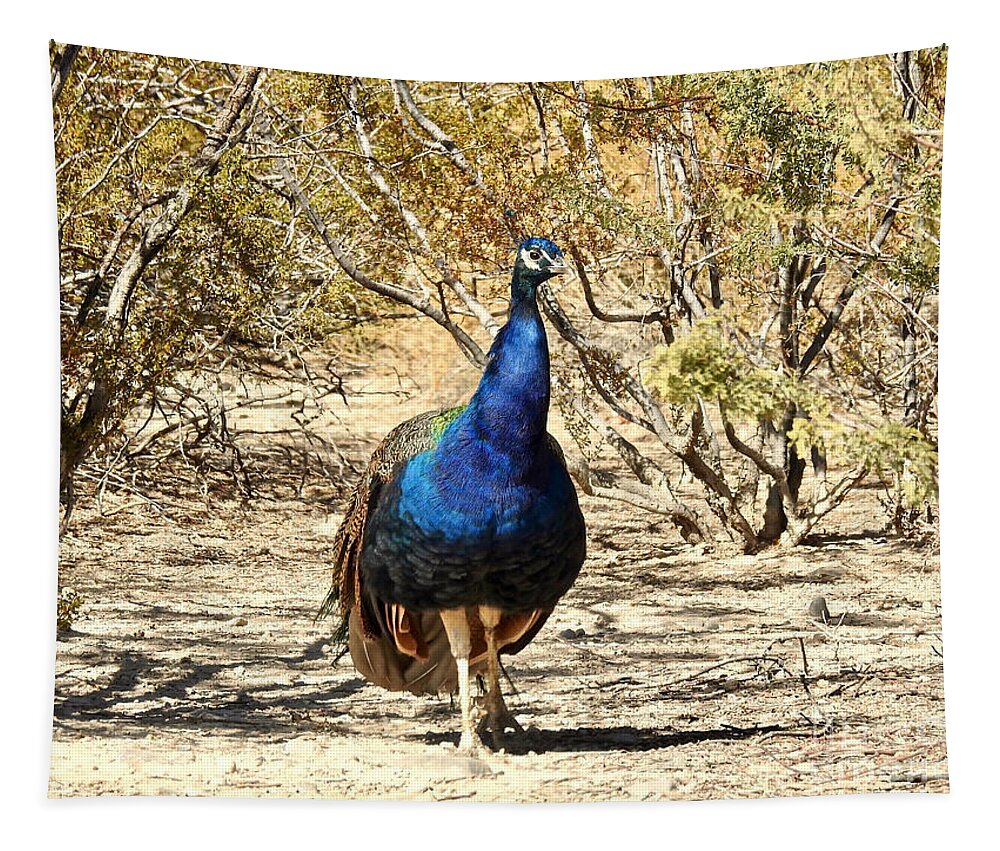 Peacock Tapestry featuring the photograph Peacock in the Brush by Beth Myer Photography