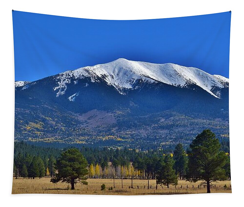 San Francisco Peaks Tapestry featuring the photograph Peaks Your Interest by Janet Marie