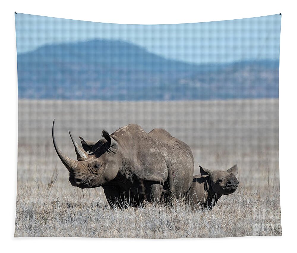 Animals Tapestry featuring the photograph Peekaboo - Rhino Family by Sandra Bronstein