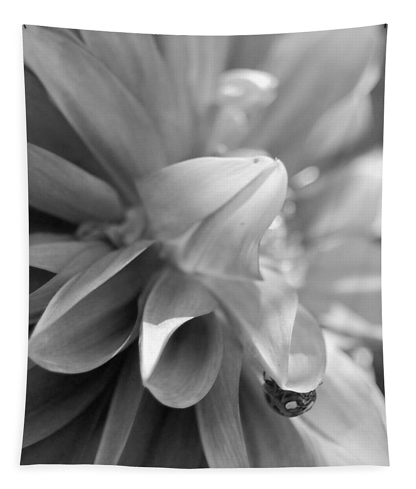 Flower Tapestry featuring the photograph Peeking Lady Bug 2 by Amy Fose