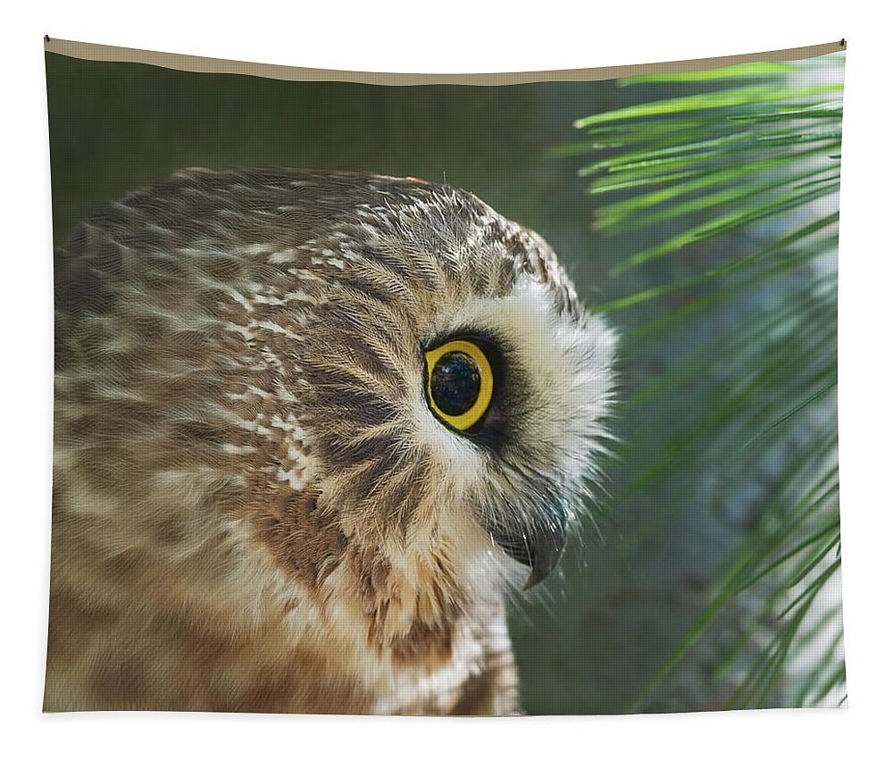 Northern Saw-whet Owl Tapestry featuring the photograph Peeking Out by CR Courson