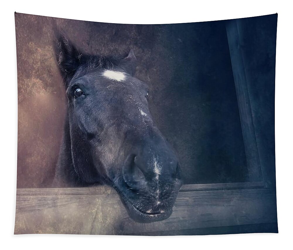 Horse Tapestry featuring the photograph Peeking Out by Marjorie Whitley
