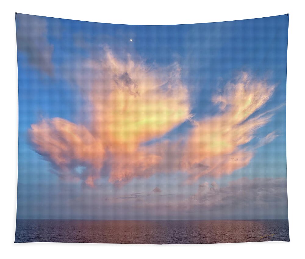 Sunset Tapestry featuring the photograph Pegasus Moon by Dan McGeorge
