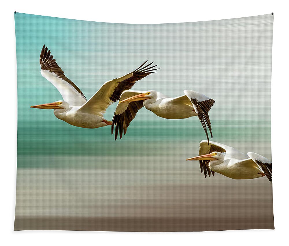 Birds Tapestry featuring the photograph Pelican Art by Norman Peay