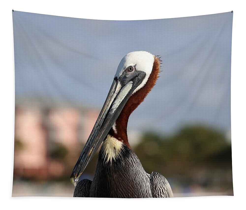 Pelicans Tapestry featuring the photograph Pelican - Close Up 2 by Mingming Jiang