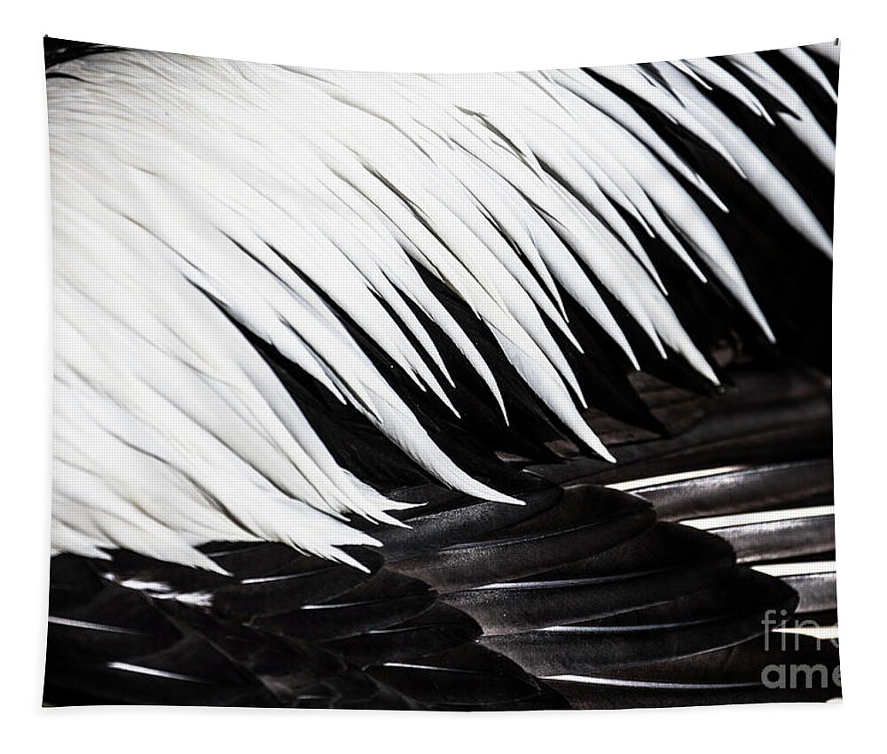 Feathers Tapestry featuring the photograph Pelican feathers by Sheila Smart Fine Art Photography