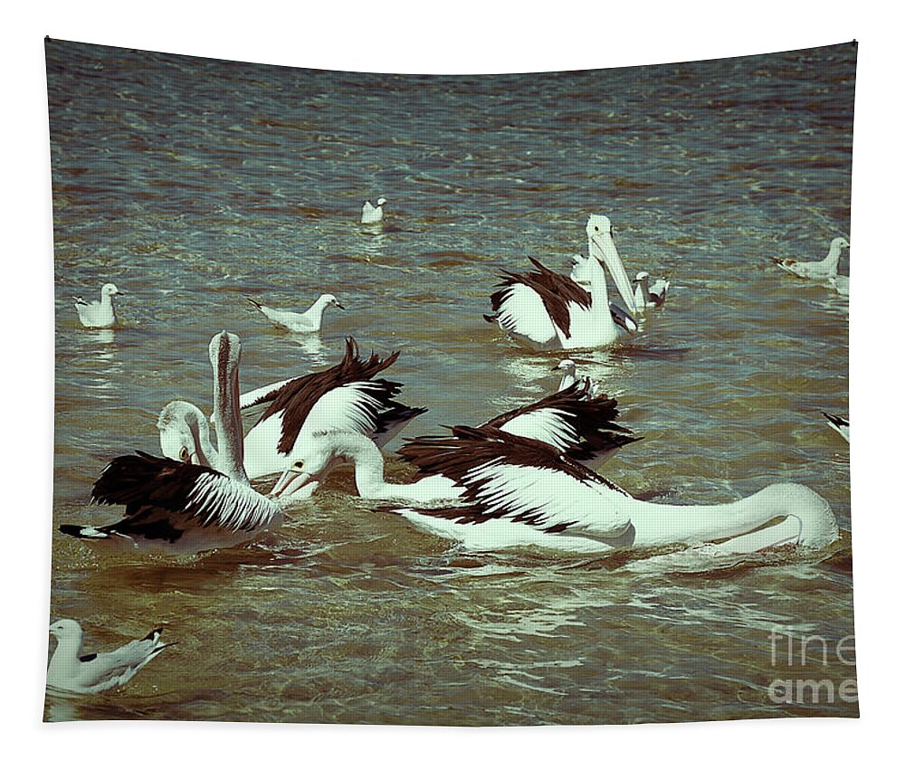 Pelican Tapestry featuring the photograph Pelican Feeding Frenzy by Elaine Teague