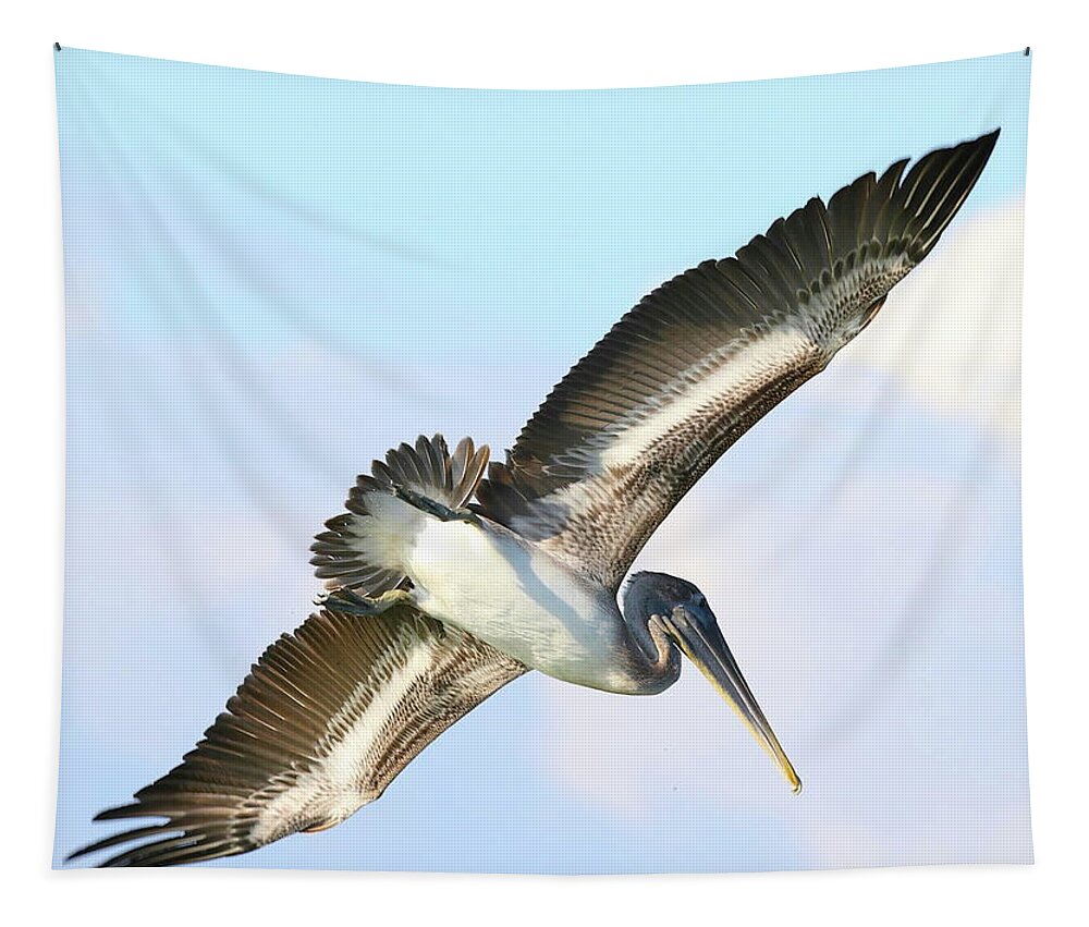 Pelicans Tapestry featuring the photograph Pelican in Flight 9 by Mingming Jiang
