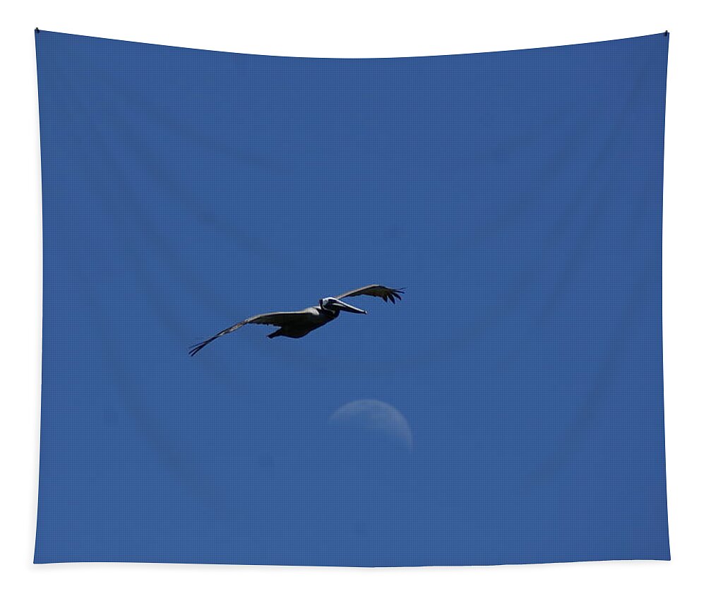 Pelican Tapestry featuring the photograph Pelican Moon by Heather E Harman