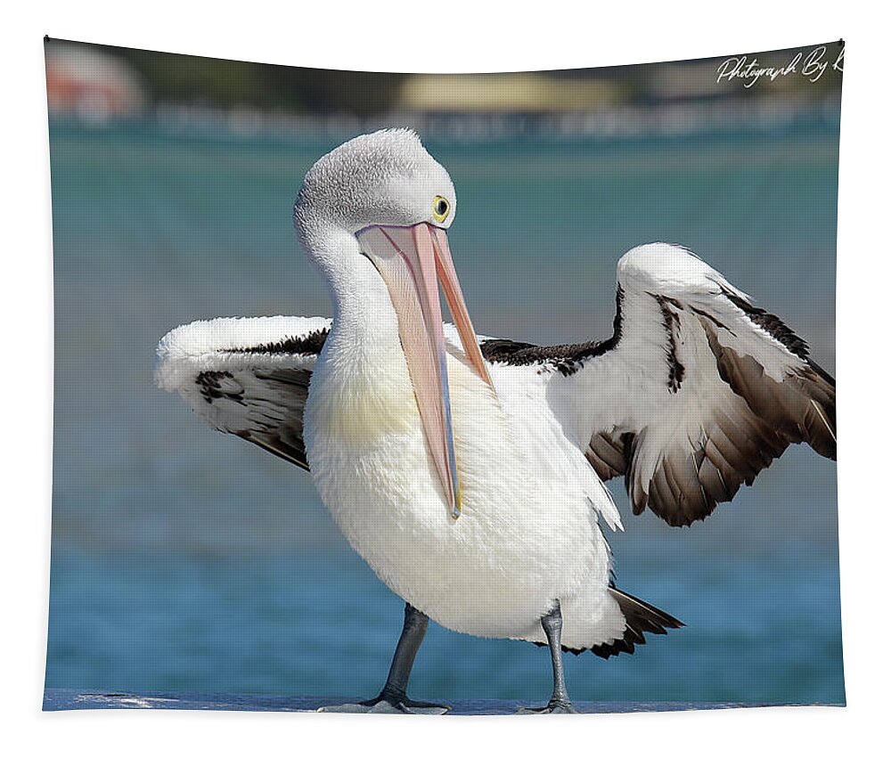 Pelicans Tapestry featuring the digital art Pelican Tuncurry 590. by Kevin Chippindall