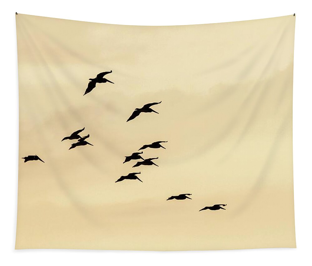 Brown Tapestry featuring the photograph Pelicans at Sunset by Liza Eckardt