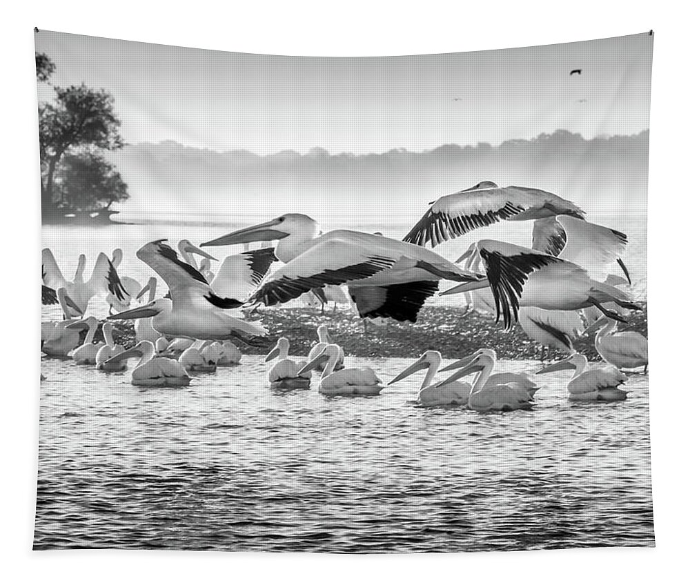 Grand Lake Tapestry featuring the photograph Pelicans in Black and White by David Wagenblatt