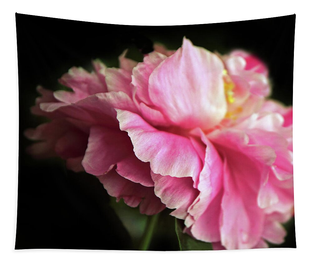 Peony Tapestry featuring the photograph Peony Portrait by Jessica Jenney