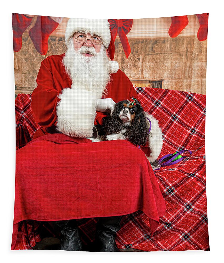 Peppermint Tapestry featuring the photograph Peppermint with Santa 1 by Christopher Holmes