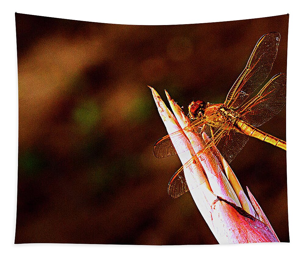 Dragonfly Tapestry featuring the photograph Perching Dragon by Bill Barber