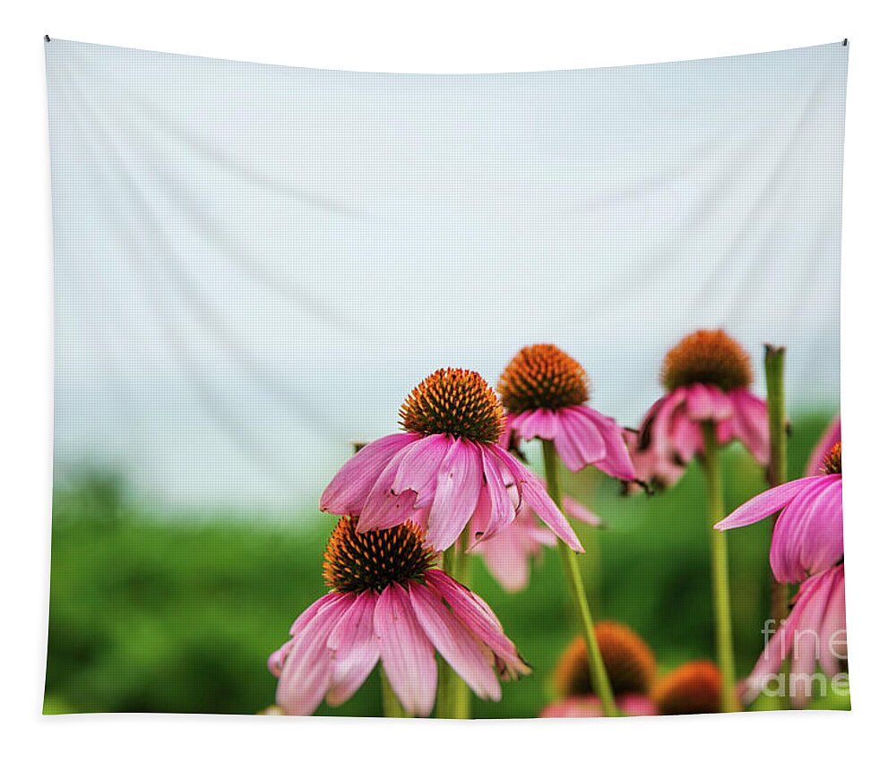 Echinacea Tapestry featuring the photograph Perfectly Imperfect by Scott Pellegrin