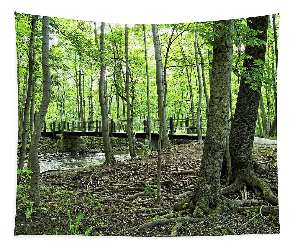 Spring Tapestry featuring the photograph Petrifying Springs Bridge I by Scott Olsen