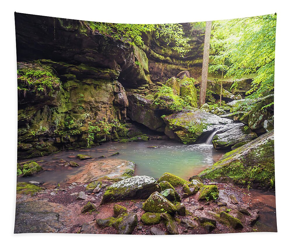 Landscape Tapestry featuring the photograph Phantom Canyon by Grant Twiss