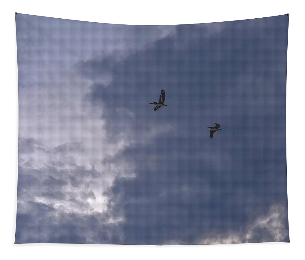 Pelican Tapestry featuring the photograph Photo 81 Pelicans by Lucie Dumas