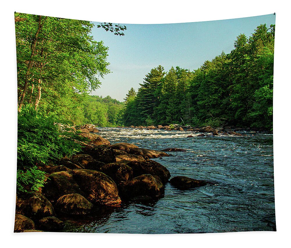 Adirondacks Tapestry featuring the photograph Photograph of the Schroon River by Louis Dallara
