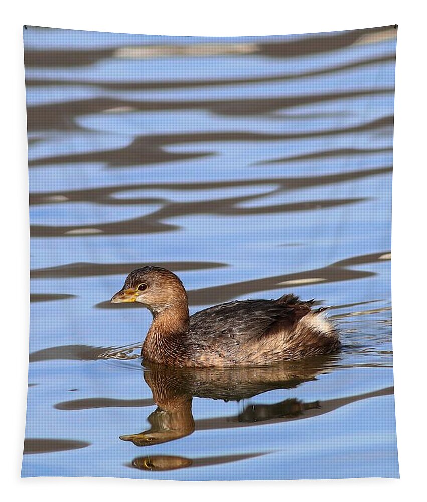 Pied-billed Grebe Tapestry featuring the photograph Pied-billed Grebe by Carol Montoya