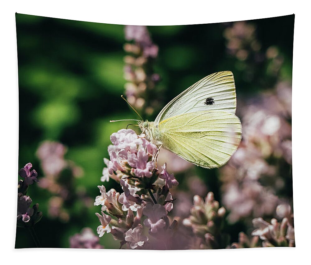 Creature Tapestry featuring the photograph Pieris rapae sits on pink flower by Vaclav Sonnek