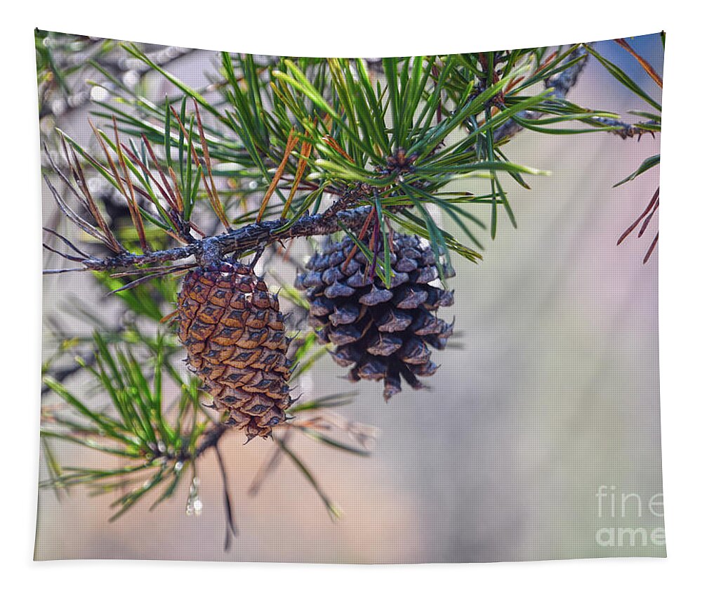 Nature Tapestry featuring the photograph Pine Cones by Phil Perkins