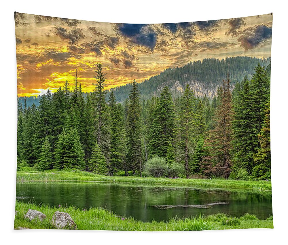 Horizon Tapestry featuring the photograph Pine Pond by Kelly Larson