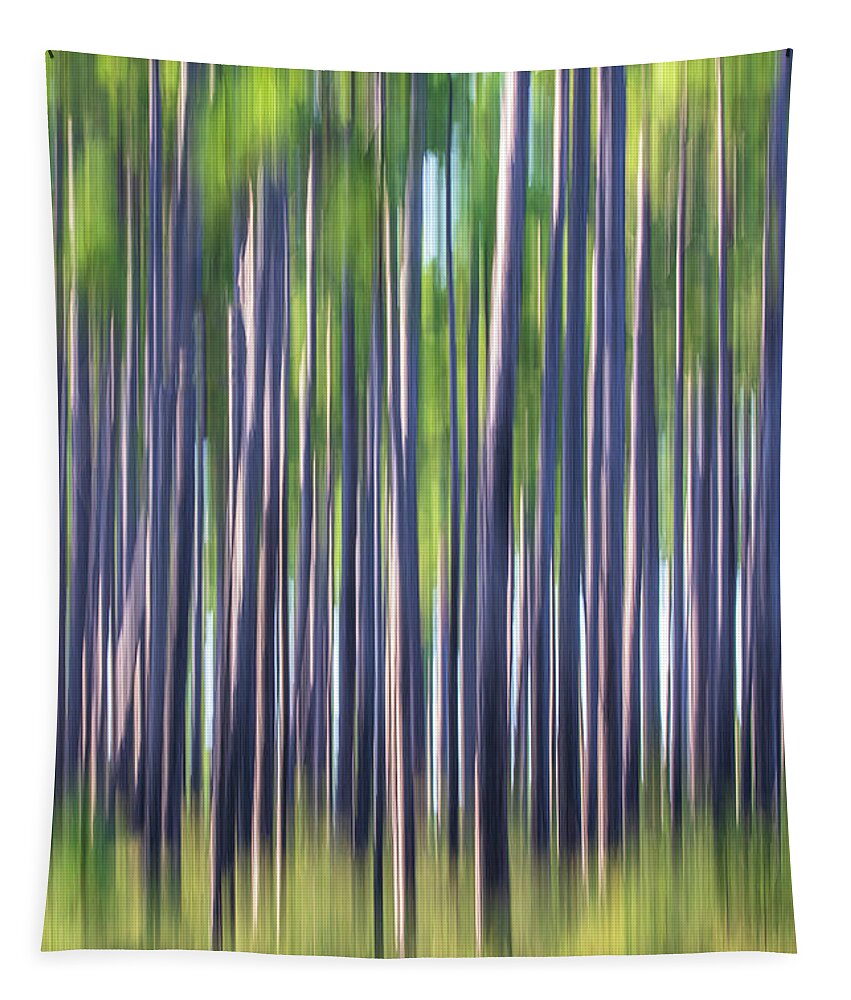 Abstract Tapestry featuring the photograph Pine Savana Abstract - Croatan National Forest by Bob Decker