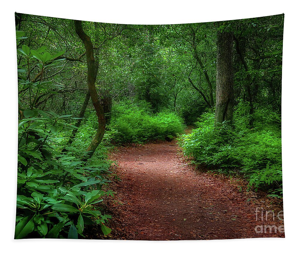 Trail Tapestry featuring the photograph Pink Beds Trail II by Shelia Hunt
