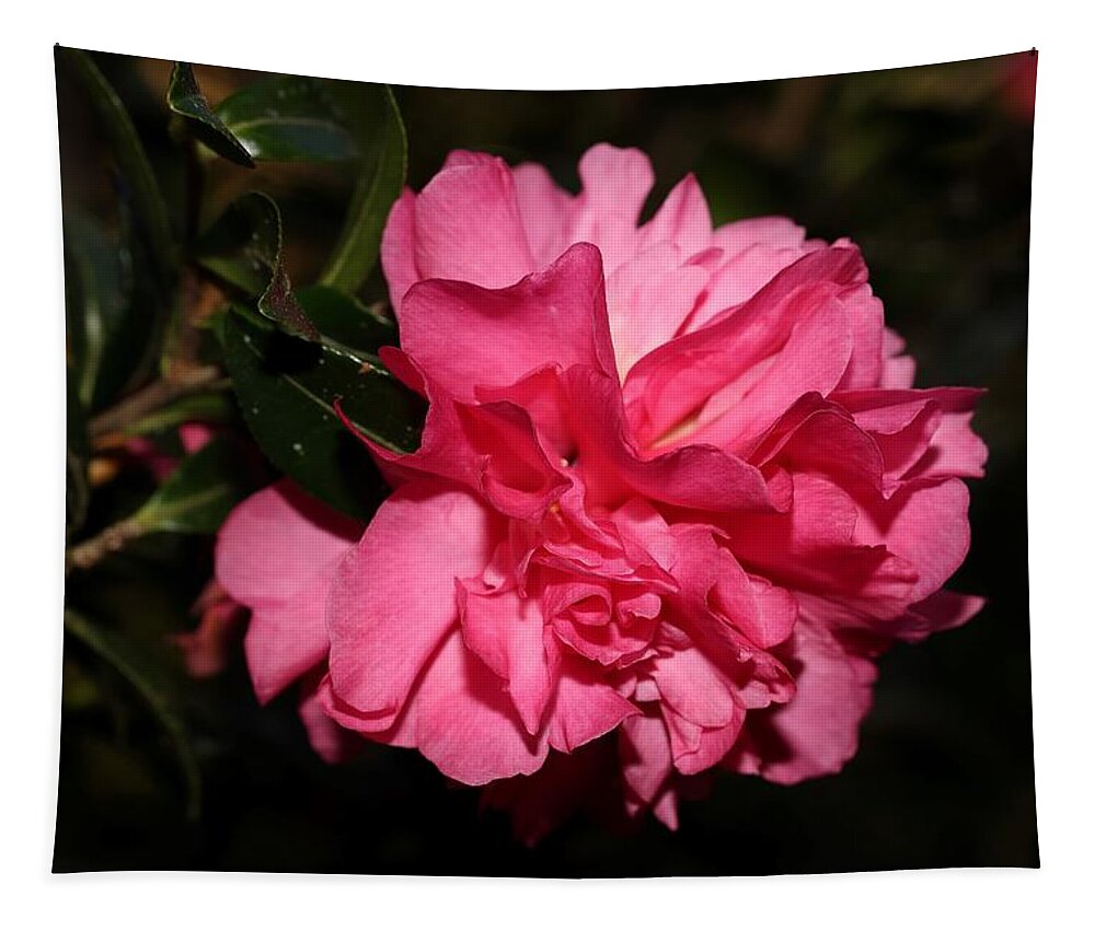 Camellia Tapestry featuring the photograph Camellia V by Mingming Jiang