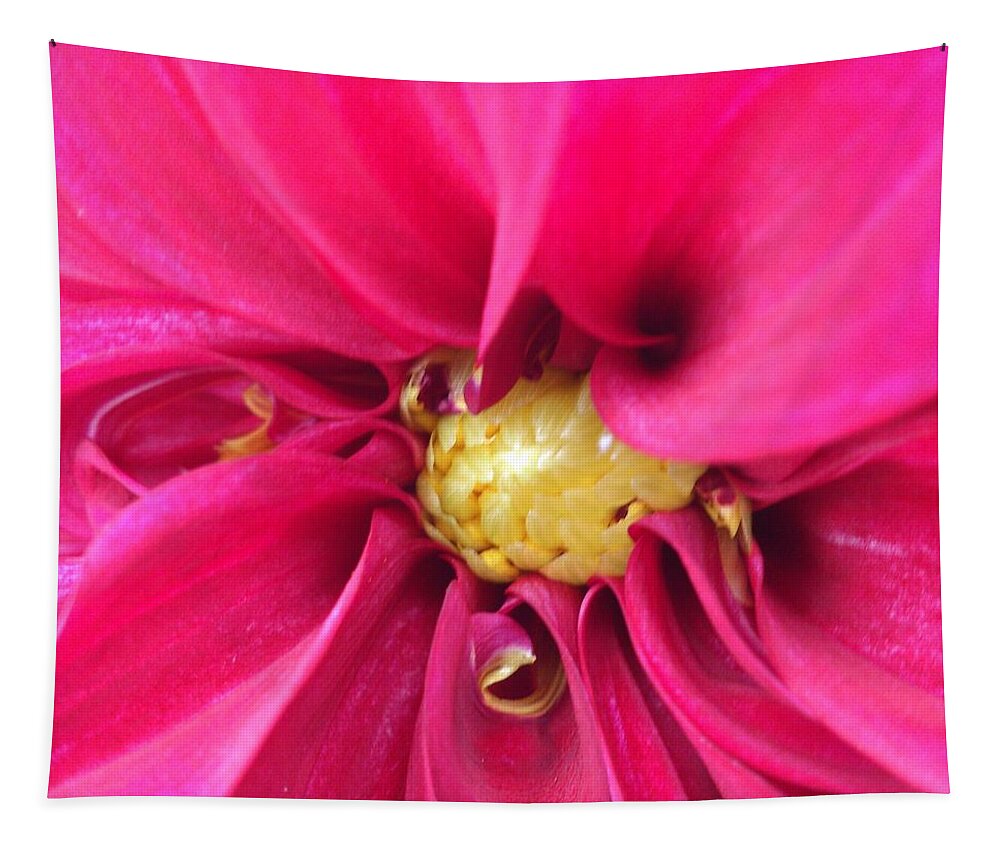 Pink Tapestry featuring the photograph Pink flower by Faa shie