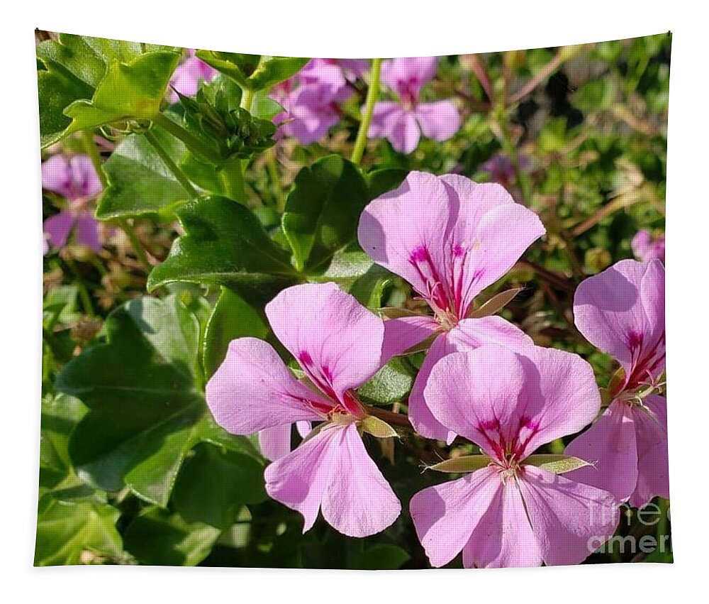 Flowers Tapestry featuring the photograph Pink flowers by Dipali Shah