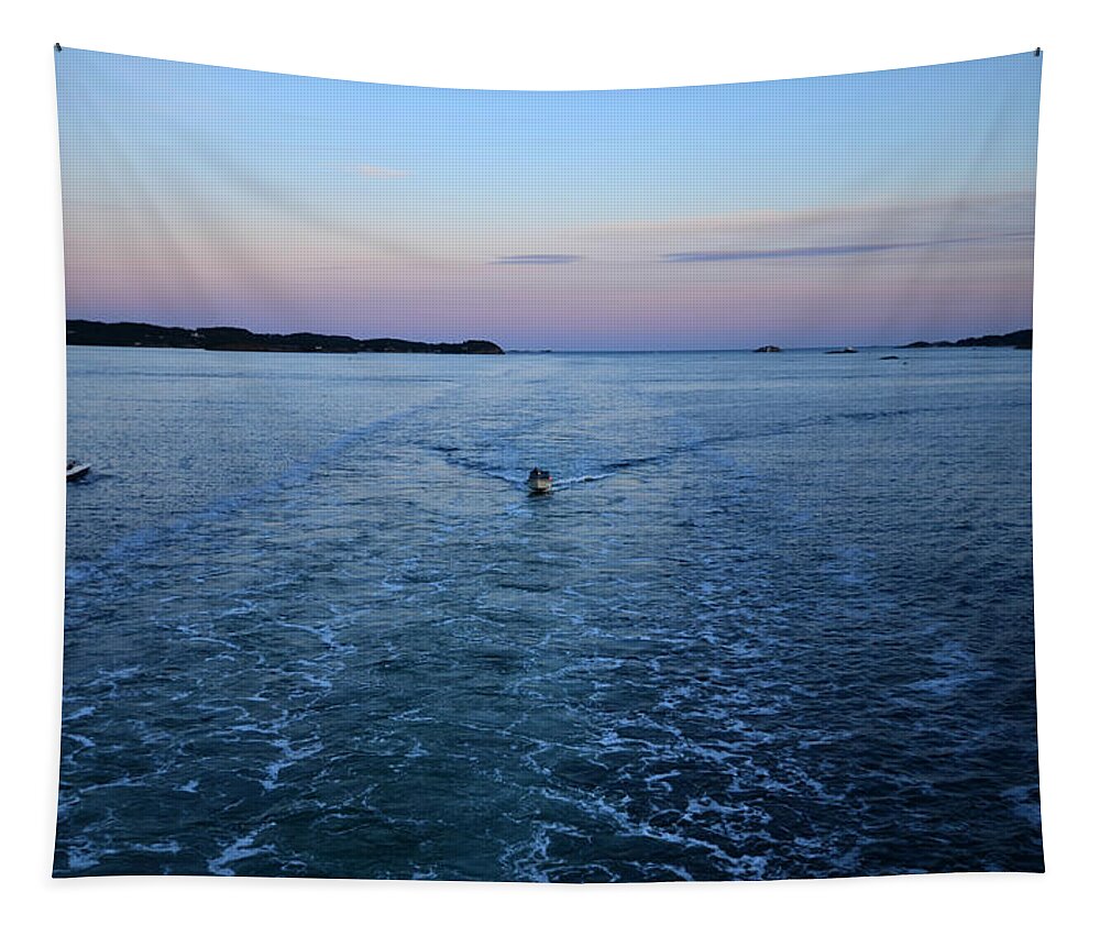 Fjord Tapestry featuring the photograph Pink Horizon by Shreya Sen