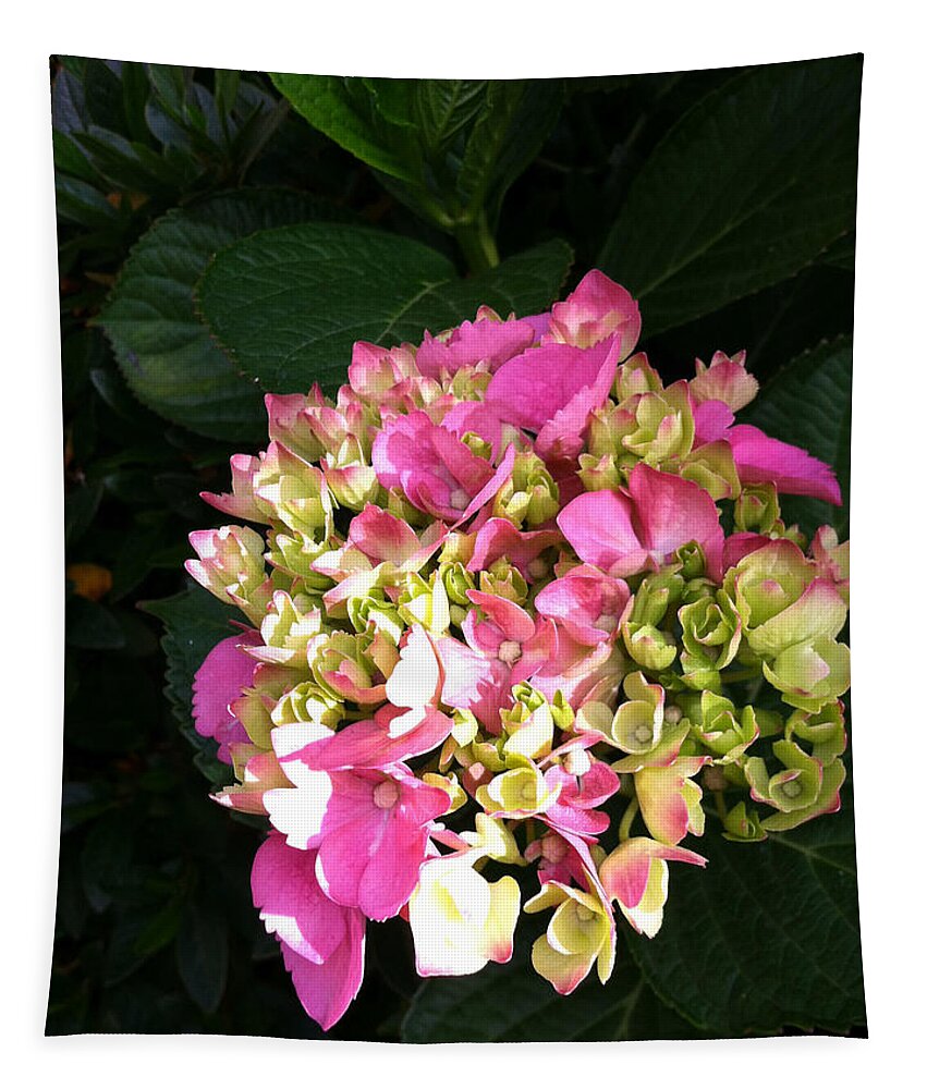 Summer Tapestry featuring the painting Pink Hydrangea by Juliette Becker