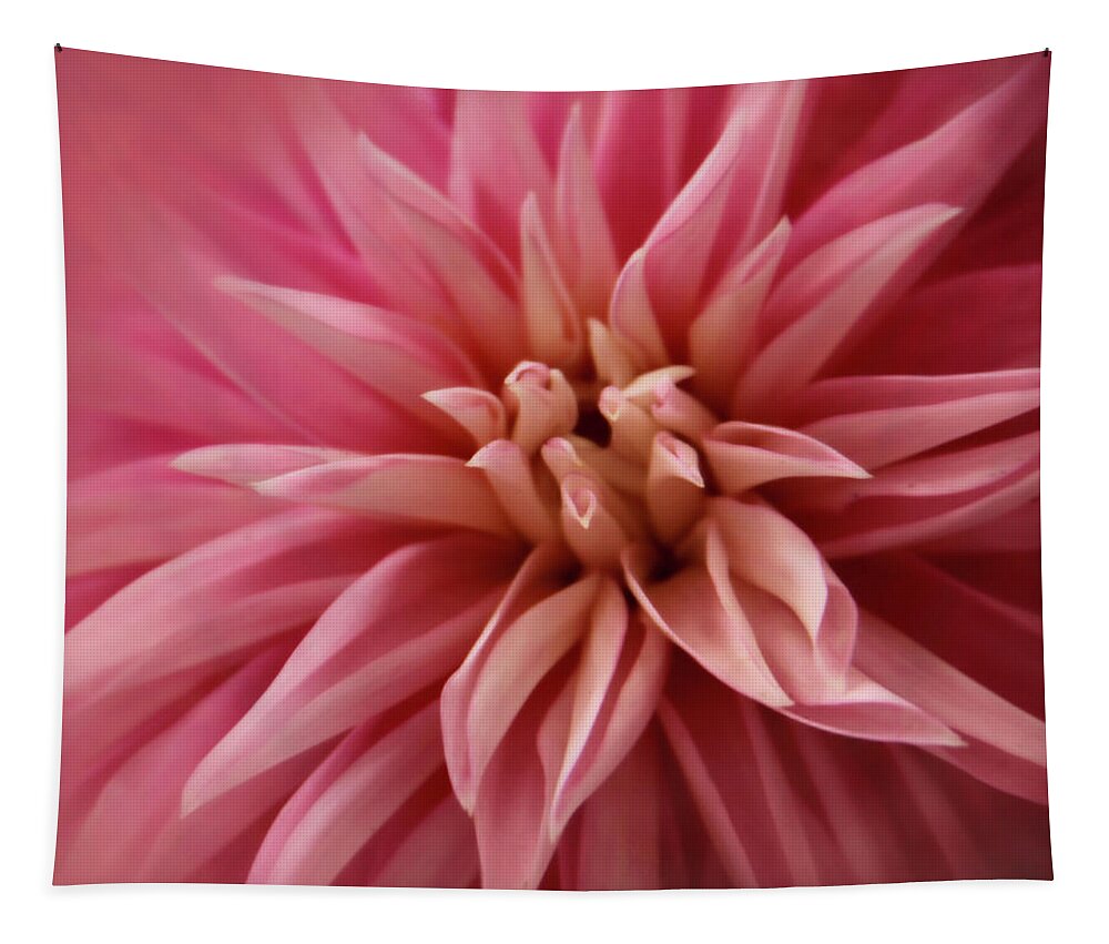 Dahlia Tapestry featuring the photograph Pink Invasion by Sally Bauer