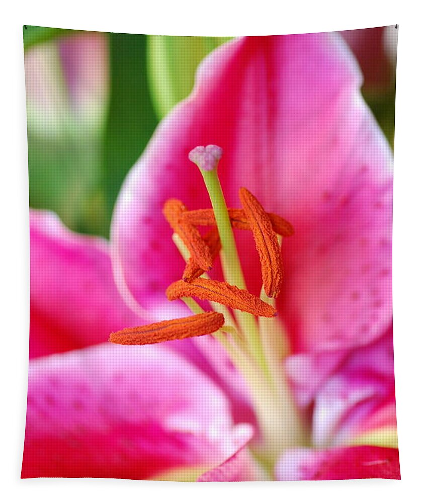 Lily Tapestry featuring the photograph Pink Lily 1 by Amy Fose