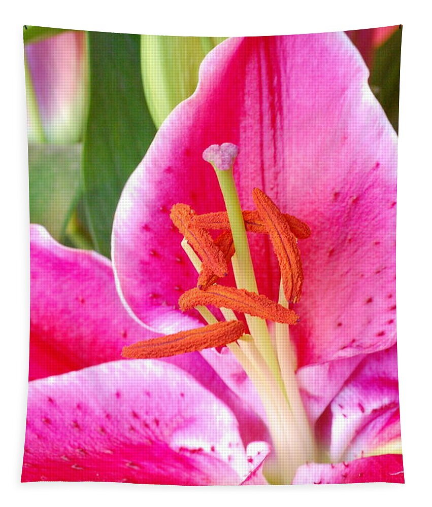 Lily Tapestry featuring the photograph Pink Lily 2 by Amy Fose