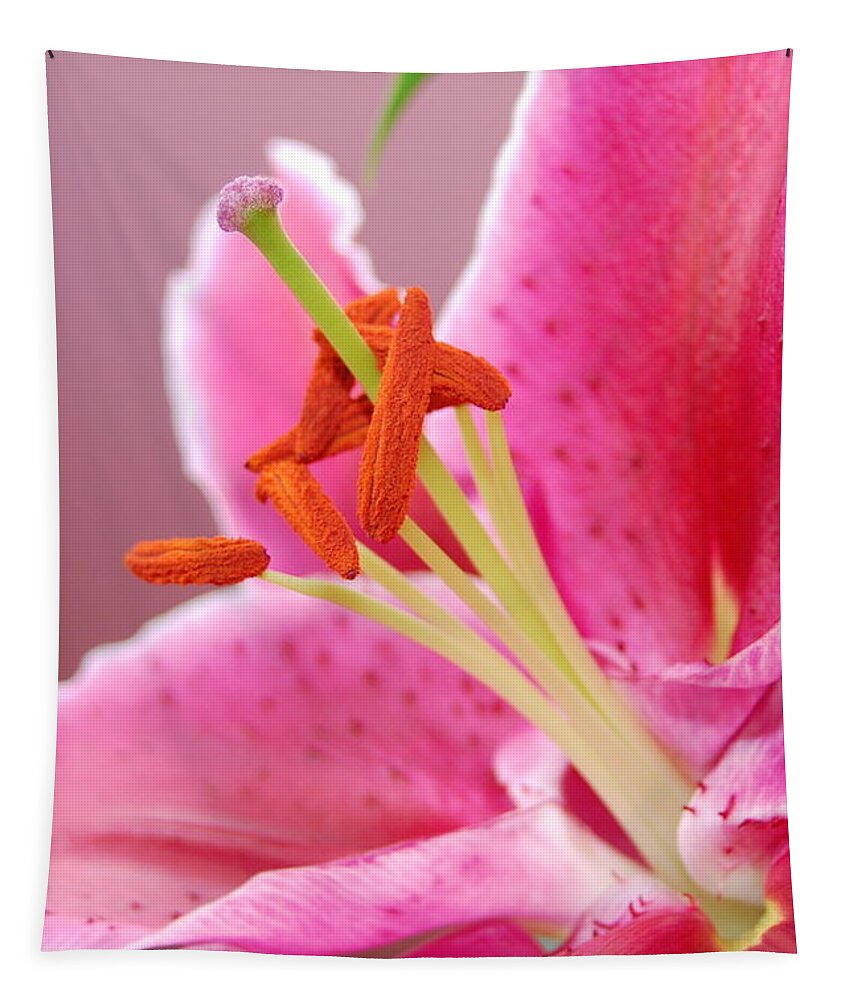 Lily Tapestry featuring the photograph Pink Lily 5 by Amy Fose