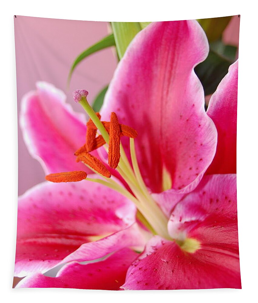Lily Tapestry featuring the photograph Pink Lily 7 by Amy Fose