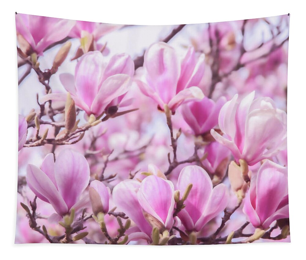 Magnolia Tapestry featuring the photograph Pink Magnolia Blossoms by Sally Bauer