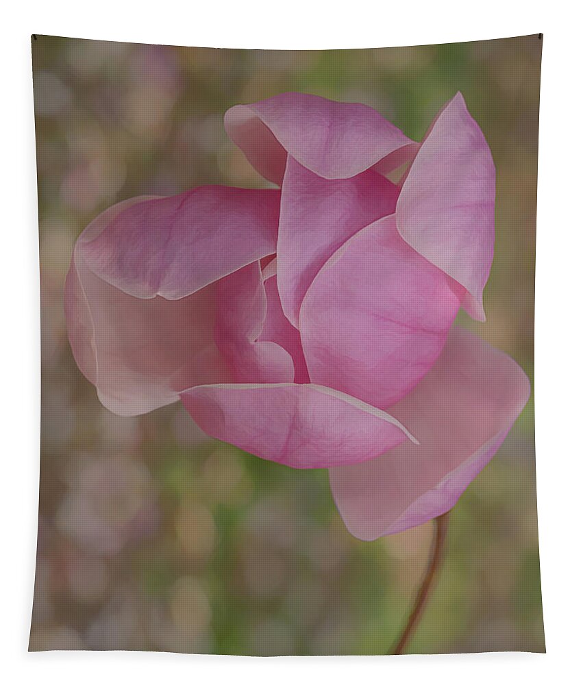 Pink Tapestry featuring the photograph Pink Magnolia by Sylvia Goldkranz