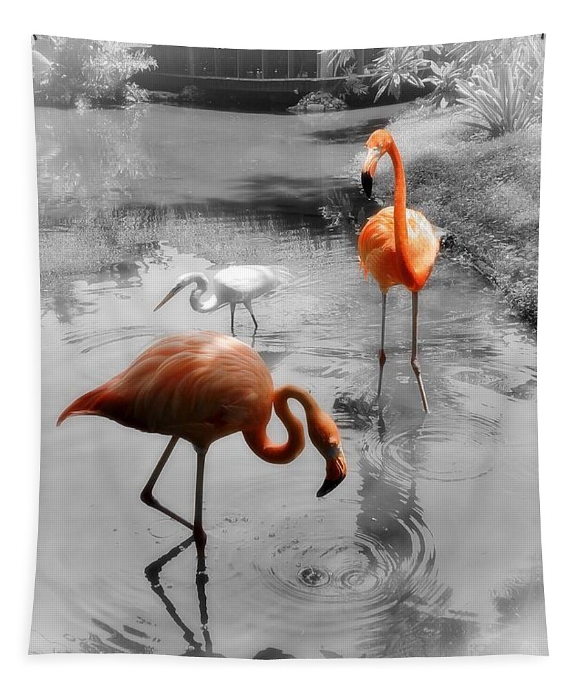 Bird Tapestry featuring the photograph Pink Orange Flamingo Photo 211 by Lucie Dumas