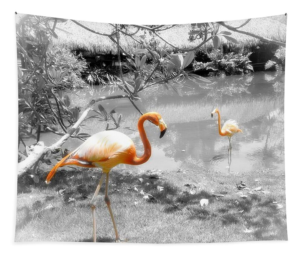 Bird Tapestry featuring the photograph Pink Orange Flamingo Photo 212 by Lucie Dumas