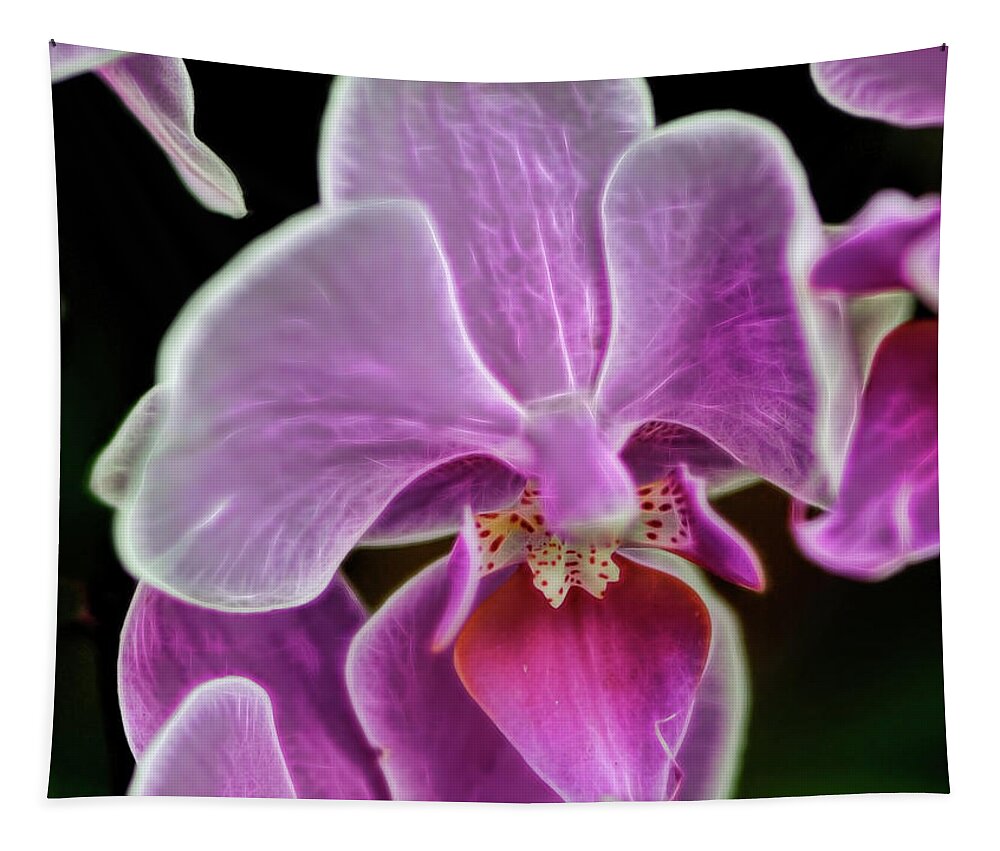 Face Masks Tapestry featuring the photograph Pink orchid from Cuba by Cordia Murphy