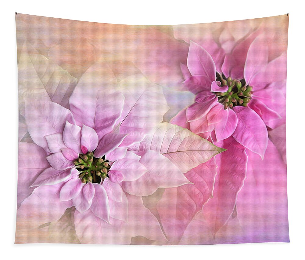 Poinsettia Tapestry featuring the photograph Pink Poinsettias by Theresa Tahara