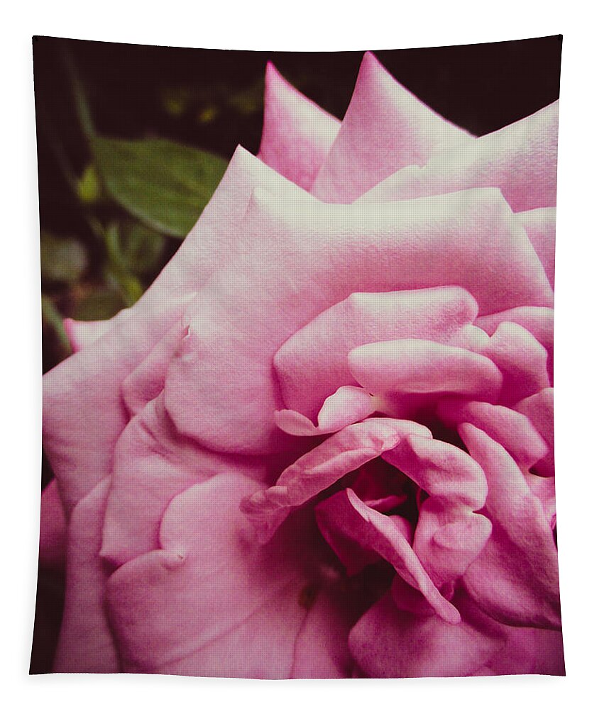 Rose Tapestry featuring the photograph Pink Rose by W Craig Photography
